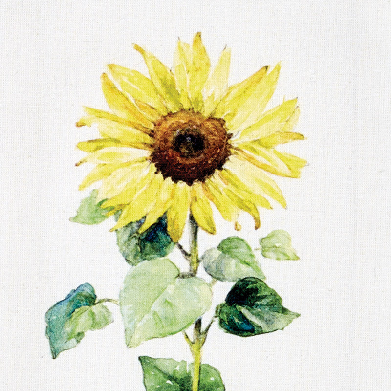 FOLLOW THE SUN DISHTOWEL SET OF 6