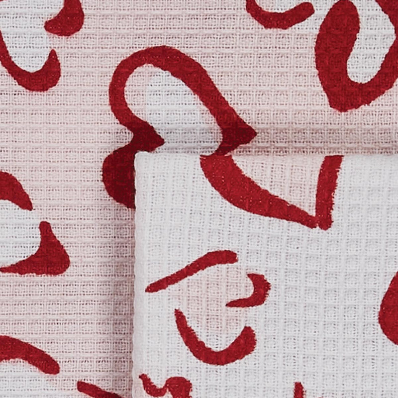 WILD HEARTS HEARTS DISHCLOTH SET 4